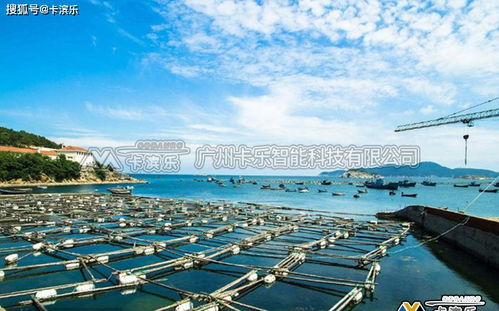 水產(chǎn)養(yǎng)殖智能監(jiān)控系統(tǒng)與生物制品技術(shù)開(kāi)發(fā)的融合創(chuàng)新
